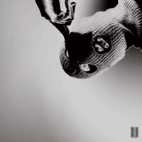 Who Dat - Single - LIONAIRE & Nico Chiara