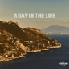 A Day in the Life - Single