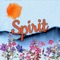 Spirit (feat. Dj Zapy & Dj Uragun) artwork
