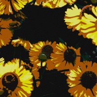 Love Disconnection - Single - Tehj