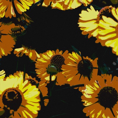 Love Disconnection - Single