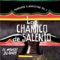 El Enredo - Los Chamico de Salento lyrics