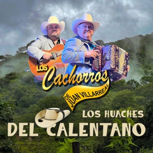 Los Huaches del Calentano