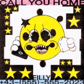 Call U Home artwork
