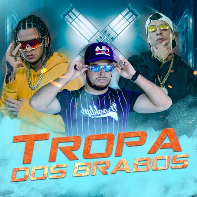 Tropa dos Brabos (feat. Boy do Charmes) - Single