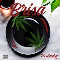 Brisa - Single - Pedroka