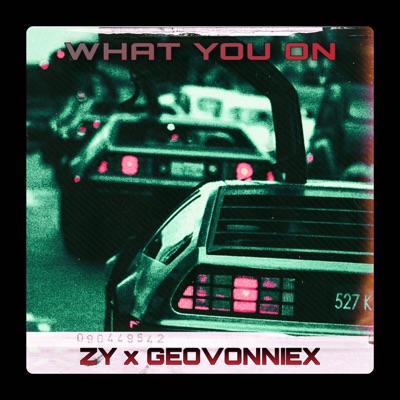 What You On (feat. Geovonniex) - Single