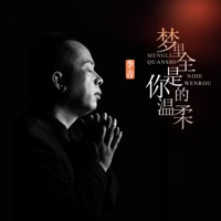 梦里全是你的温柔 - Single - 李青