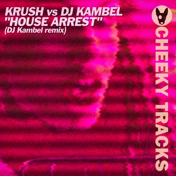 House Arrest (DJ Kambel Remix) - Single