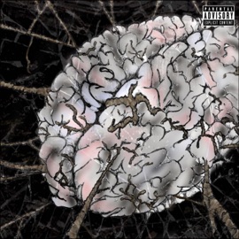 Everyday (feat. eQ & Poizunus) QShinobi