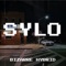 Sylo - Bizarre Hybrid lyrics