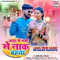 Jada Mein Sardi Se Naak Bahata - Single - Vicky Vox & Baby Doll