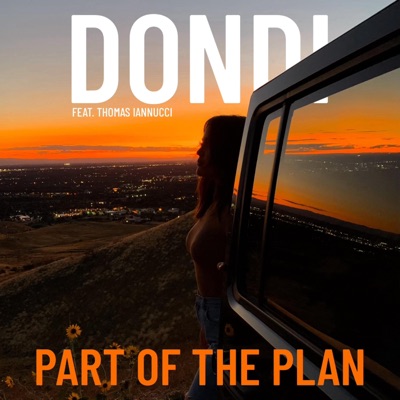 Part of the Plan - Single