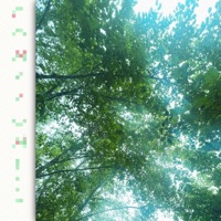 Compromise - Single - Joykey