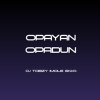 Opayan Opadun (feat. DJ TOBZY IMOLE GIWA) - Single - Dj Tobzy Beat