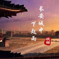 长安城中下起雨 - Single - 沈甜