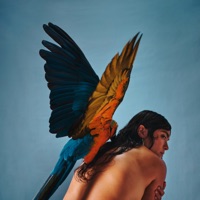 Reyna Tropical Ablum Cover