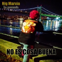 NO ES COSA BUENA (Only Version) - Single - Big Marvin