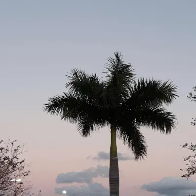 Listen to Untitled by Prod. TokyoX