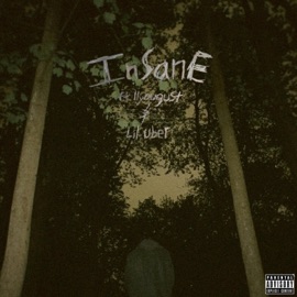Insane (feat. ilyaugust & Lil Uber) Mikeee