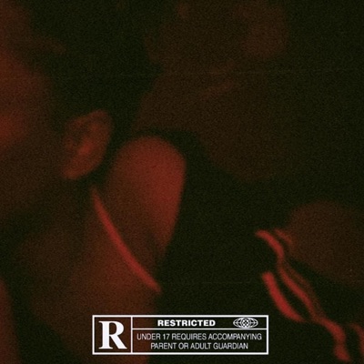 Euphoria (feat. XVMV & Erton) - Single