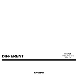 Different (feat. JIANG!, Cal1sto & Mally.A) Finch Fetti