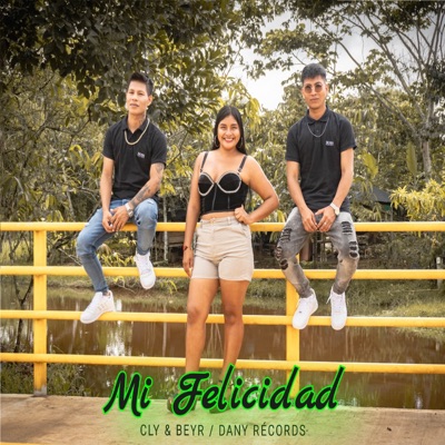 Mi Felicidad - Single