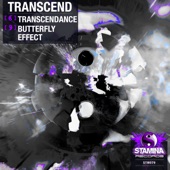 Transcendance artwork