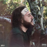 Trees - Burnalotta Endo