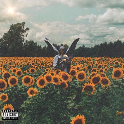 Found me a Angel (feat. Lil Bird) - Single