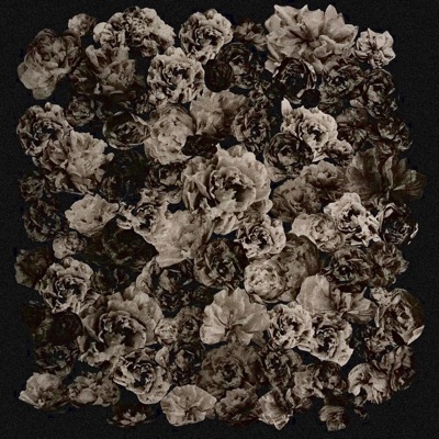 Wszystko muszę zabić / Zanim wyrwiesz mi serce - Single