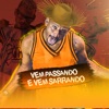 Vem Passando e Vem Sarrando - Single