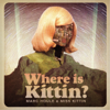Where is Kittin? - Marc Houle & Miss Kittin