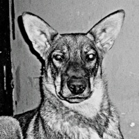 Аль Грано (feat. El Guarataro) - Single - ЭЙЗАР