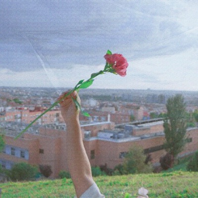 SinTi - Single