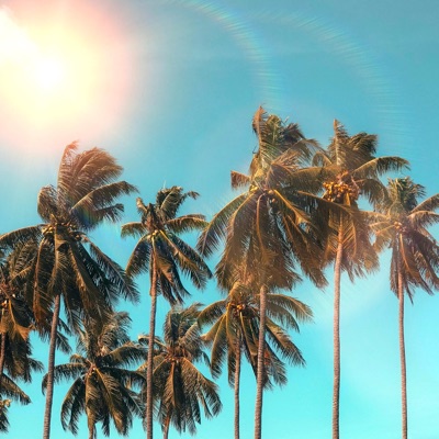 Coconut and Rum - Single