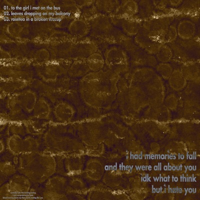 Memories To Fall - Single