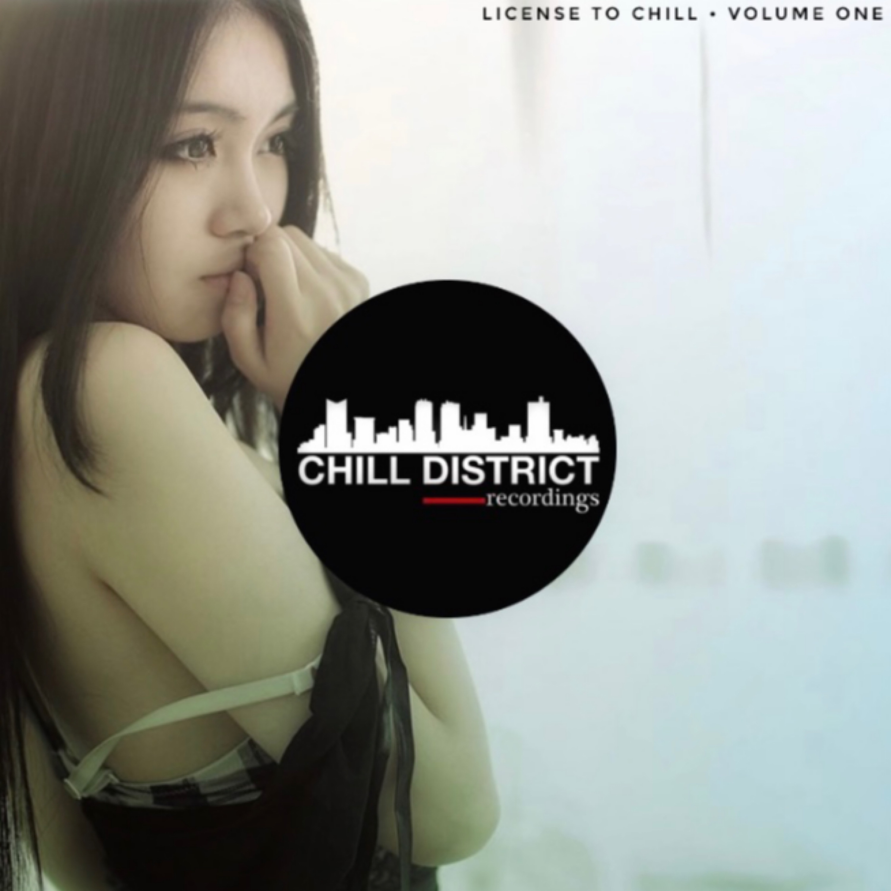 Licensed to Chill, Vol. 1