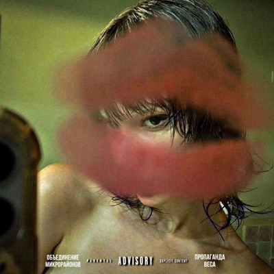 Пропаганда Веса (feat. uglydirty & MOROC) - Single