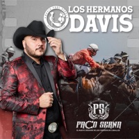 Los Hermanos Davis - Single - Paco Serna
