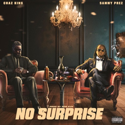 No Surprise (feat. Chaz King) - Single