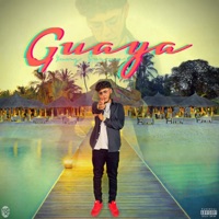 Guaya (feat. Yung Reece) [Remix] - Single - Suelo Swerve