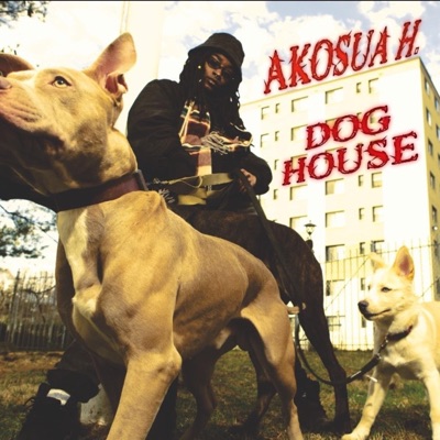 Dog House (Clean Version) - Single