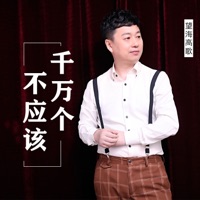 千万个不应该 - Single - 望海高歌