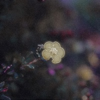 It's Not the Same - Single - Sxdtune, vagrxnt & oc