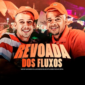 Revoada dos fluxos (feat. Mcs Nando and Luanzinho)