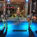 Apasionada