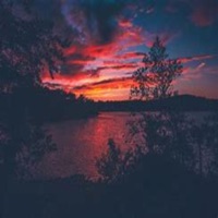 No Love - Single - CYRILLC