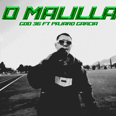 0 MALILLA (feat. Pajaro Garcia) - Single