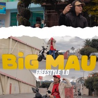 Freestyle 1.0 - Single - Big Mau